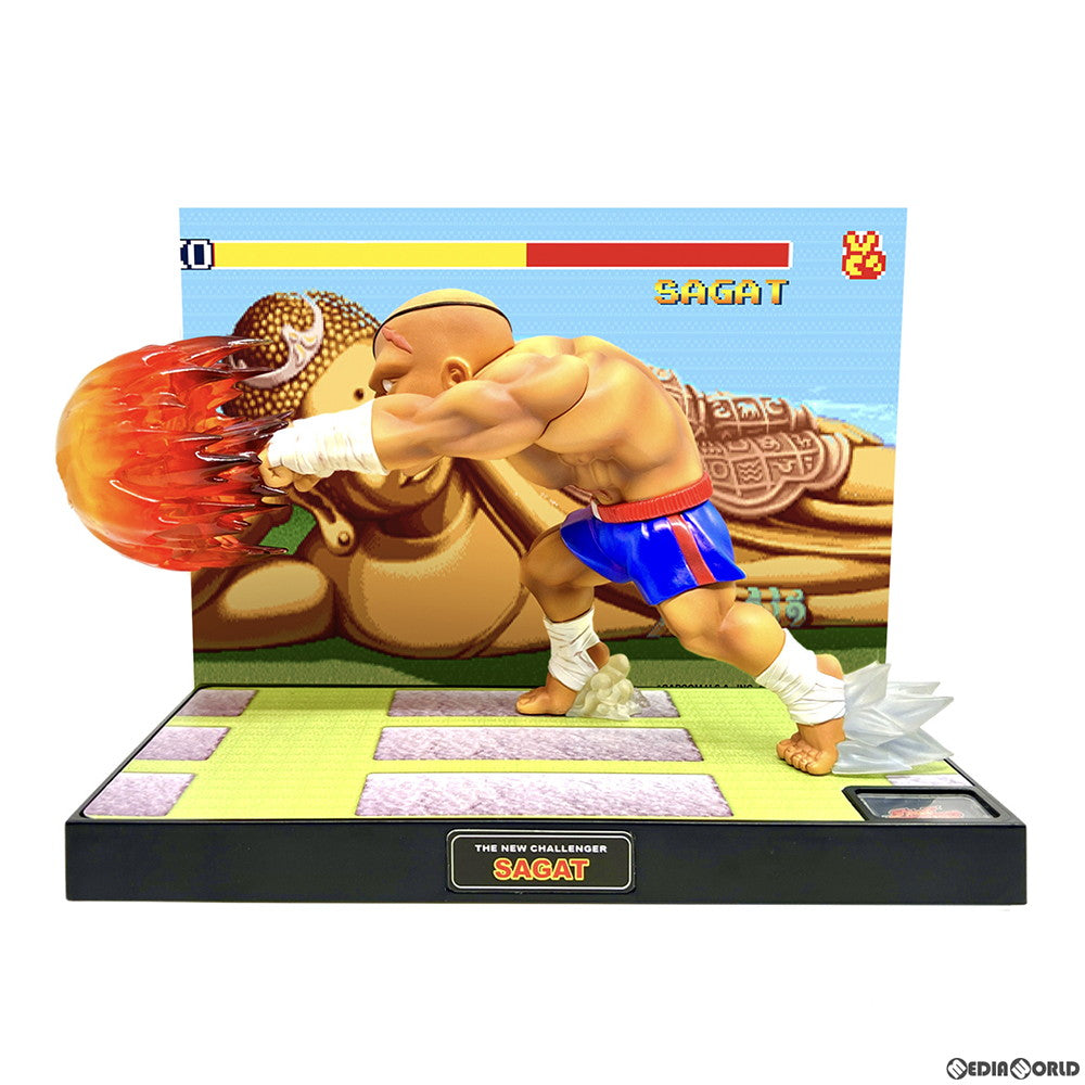 【新品即納】[FIG]T.N.C-10- サガット STREET FIGHTER II(ストリートファイターII) 完成品  フィギュア(AX-0284) Big Boys Toys(ビッグボーイズトイズ)(20230421)