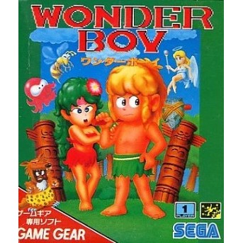 【中古即納】[お得品][表紙説明書なし][GG] WONDER BOY(ワンダーボーイ) セガ(19901208)