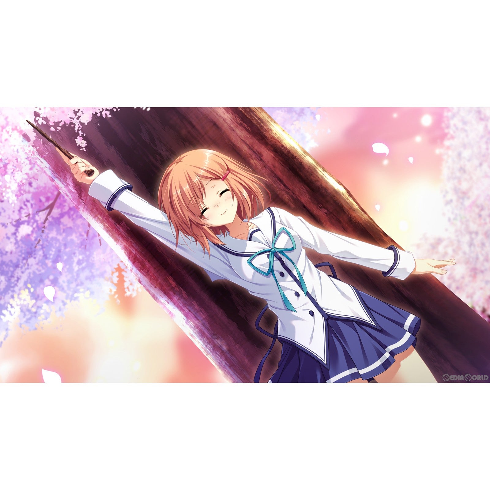 【新品即納】[PS4]D.C.III P.S.～ダ・カーポIII プラスストーリー～ 通常版 エンターグラム (20230824)