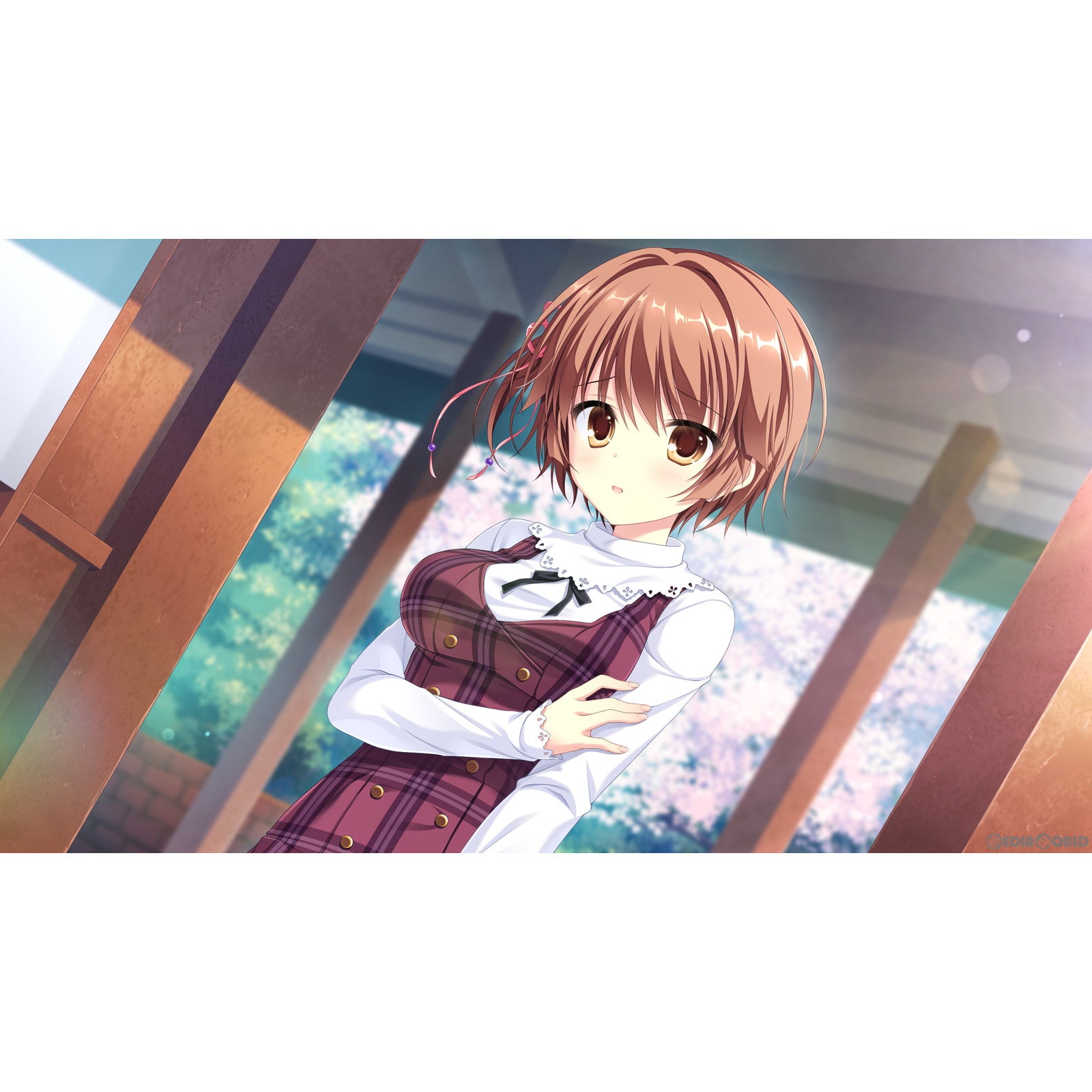 【新品即納】[PS4]D.C.III P.S.～ダ・カーポIII プラスストーリー～ 通常版 エンターグラム (20230824)