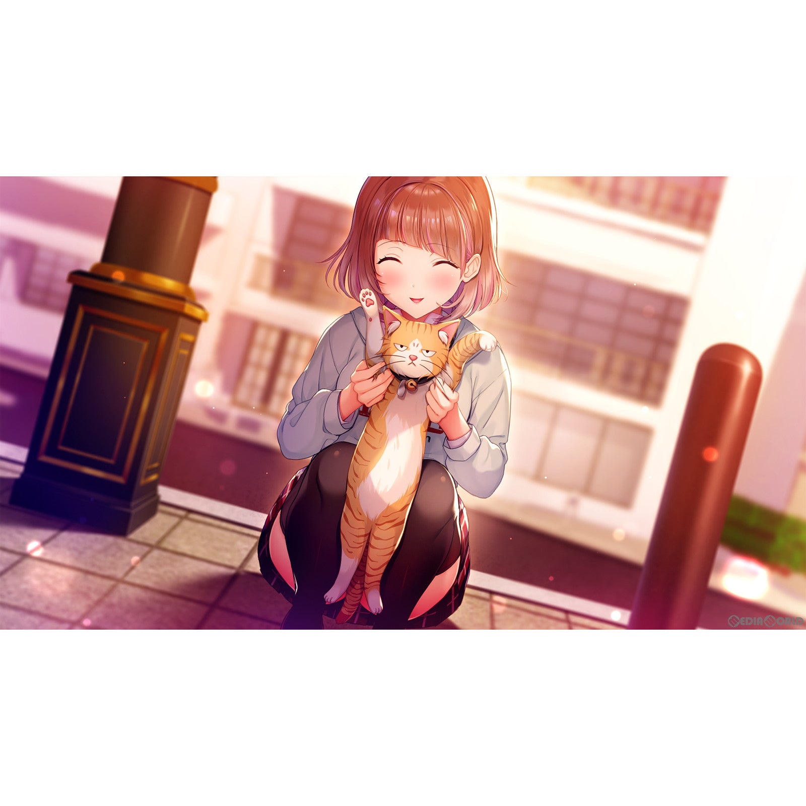 【新品即納】[PS4]2045、月より。 The Butterfly Dream 通常版 エンターグラム (20231221)