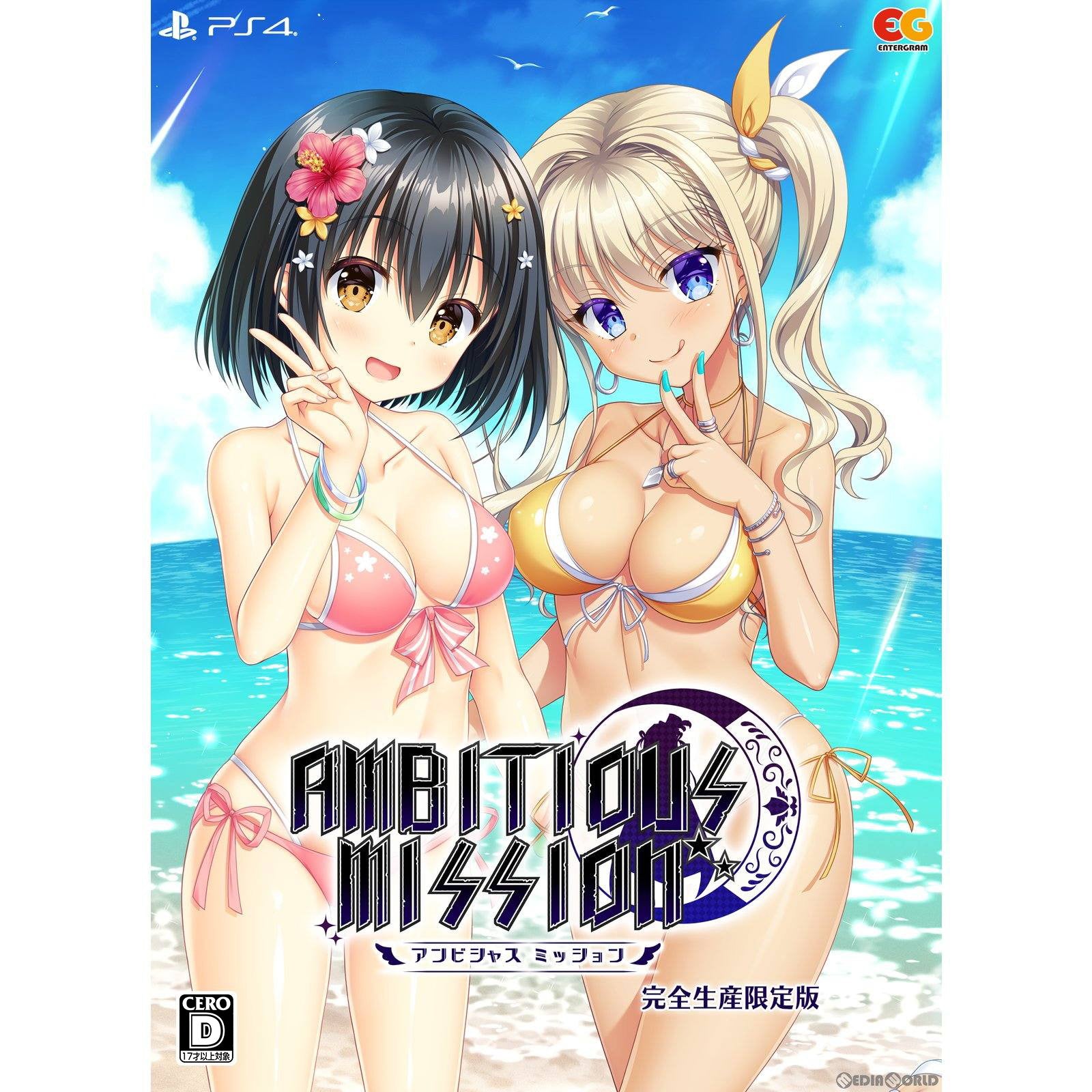 【中古即納】[PS4]AMBITIOUS MISSION(アンビシャス ミッション) 完全生産限定版 エンターグラム (20240321)