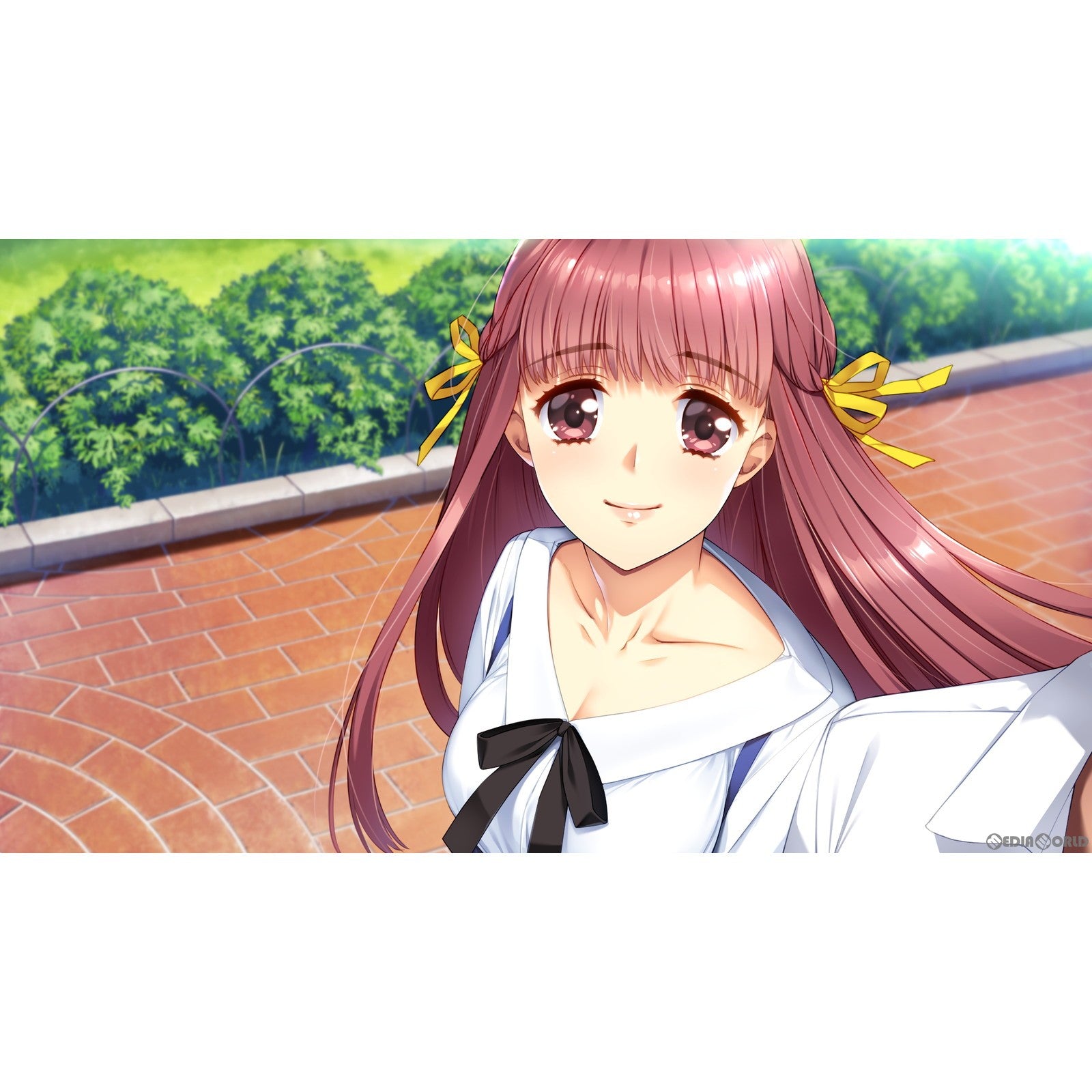 【新品即納】[PS4]同級生リメイクCSver 通常版 DMM GAMES (20240418)