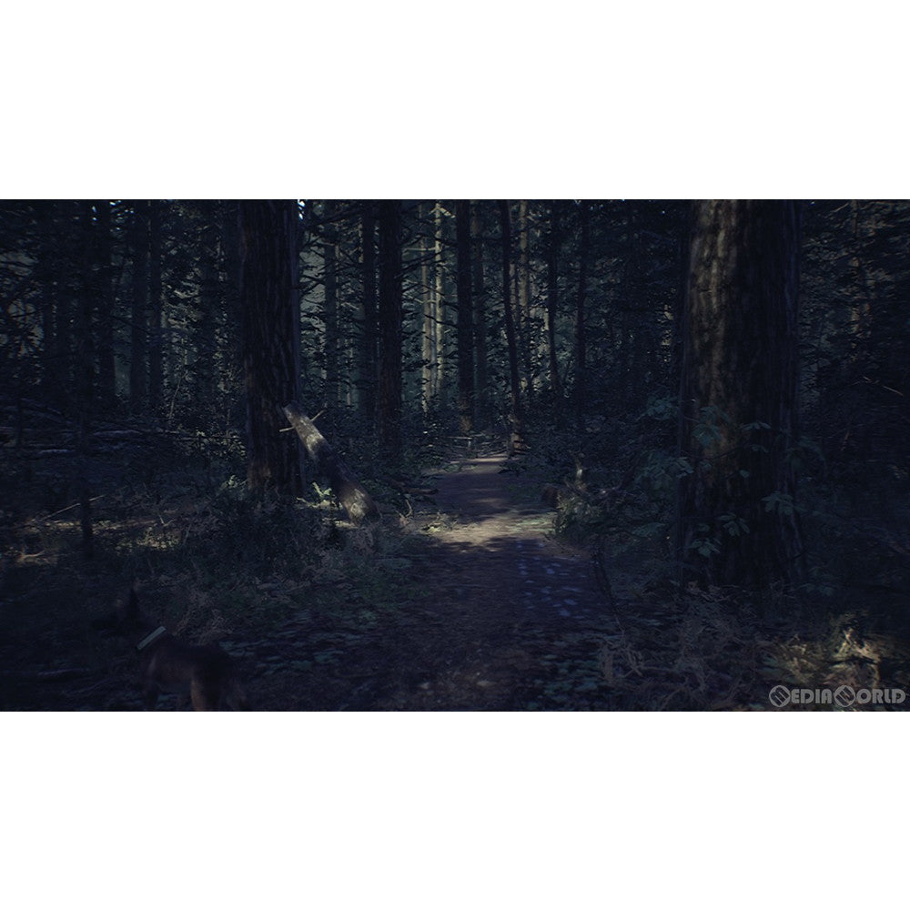 【中古即納】[お得品][表紙説明書なし][Switch] ブレア・ウィッチ 日本語版 通常版 NAパブリッシング(20200709)
