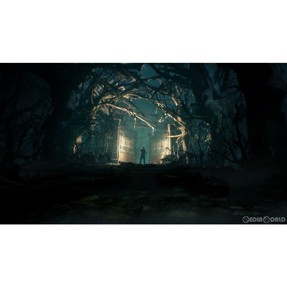【中古即納】[お得品][表紙説明書なし][Switch] コール・オブ・クトゥルフ(Call of Cthulhu) オーイズミ・アミュージオ(20200723)