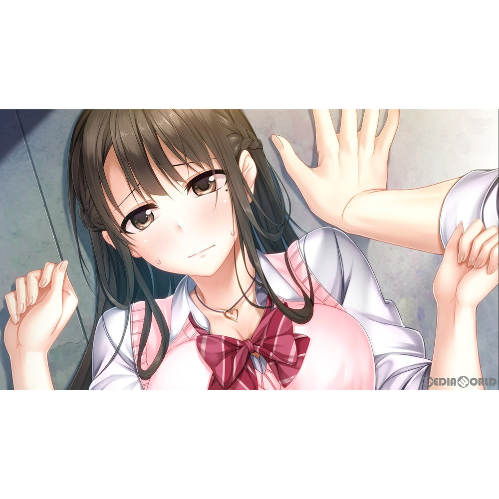 【中古即納】[お得品][表紙説明書なし][Switch]アイキス2(AIKISS 2) 完全生産限定版 エンターグラム (20210325)