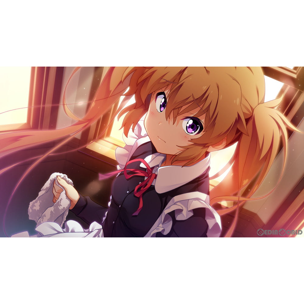 【中古即納】[お得品][表紙説明書なし][Switch] ISLAND(アイランド) プロトタイプ(20210408)