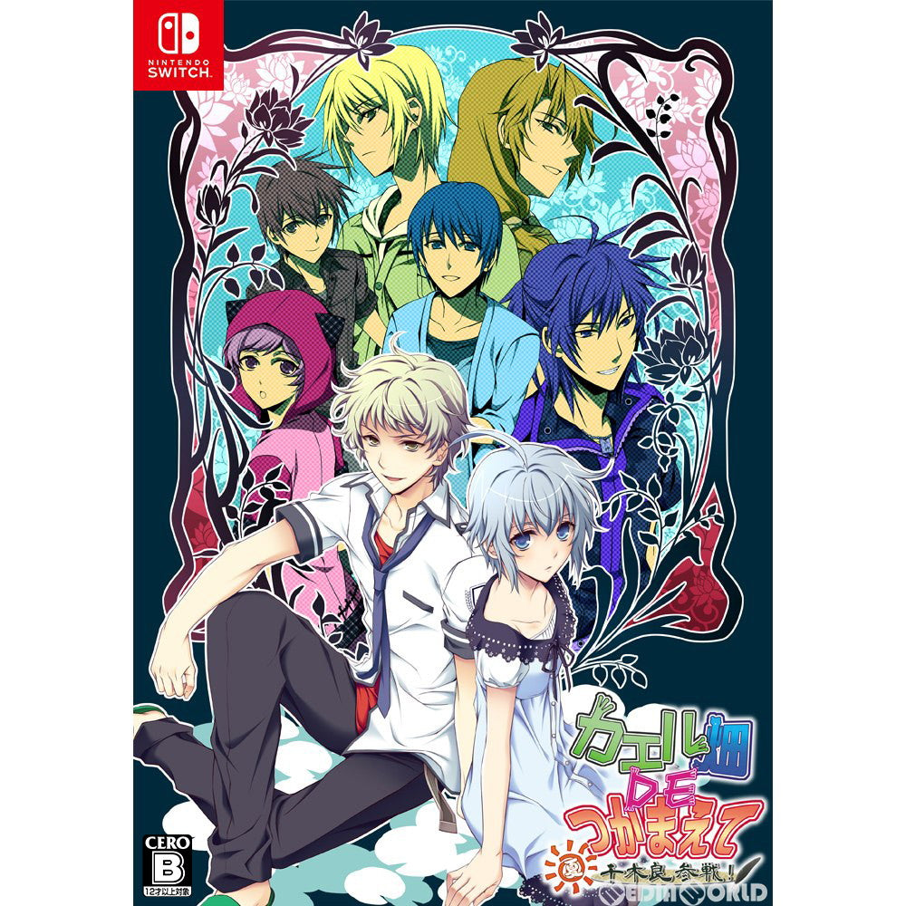 【中古即納】[Switch]カエル畑DEつかまえて・夏 千木良参戦! 拓洋興業／TAKUYO (20220324)