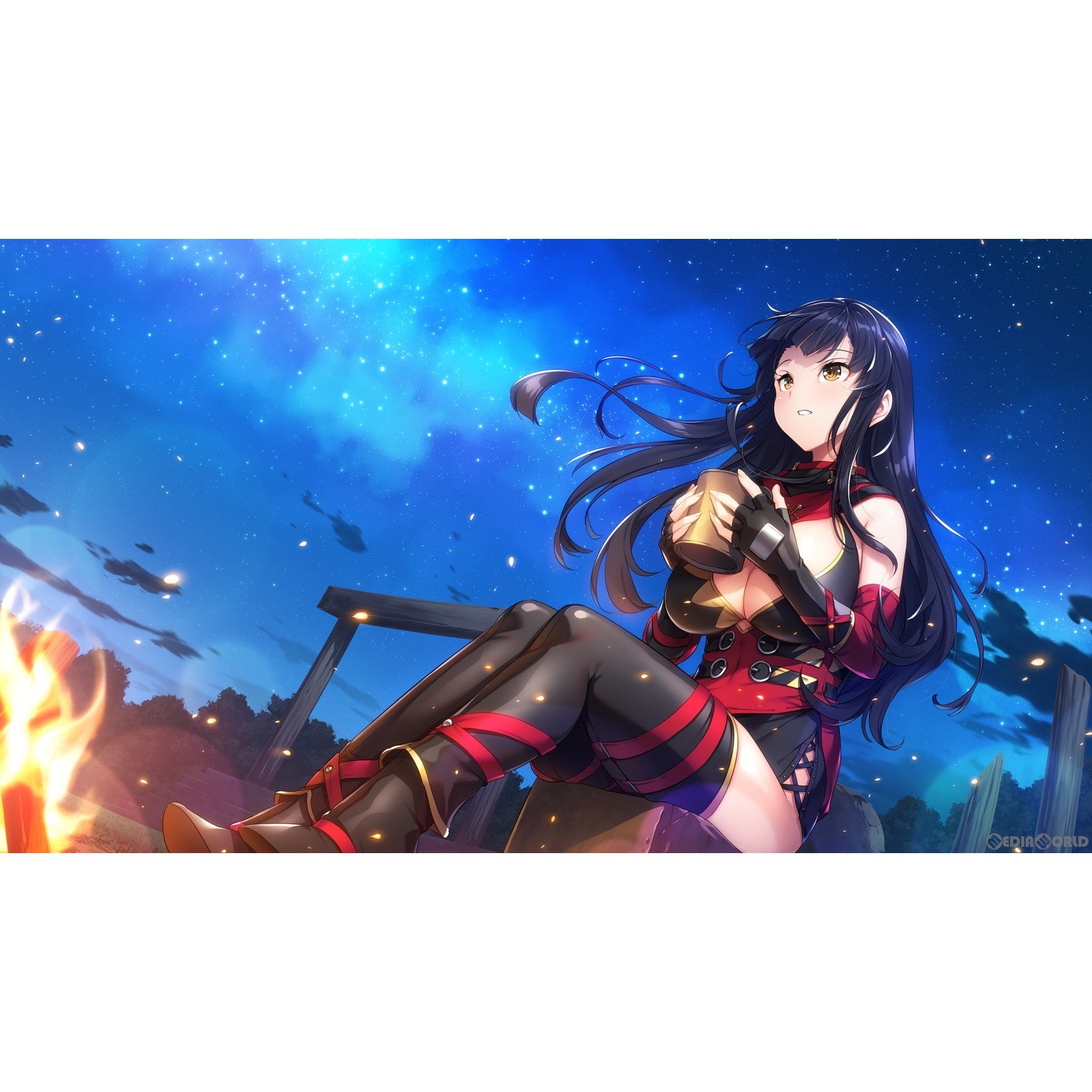 【新品即納】[Switch]ガールズフランティッククラン(ガルフラ Girls Frantic Clan) 完全生産限定版 エンターグラム (20230928)