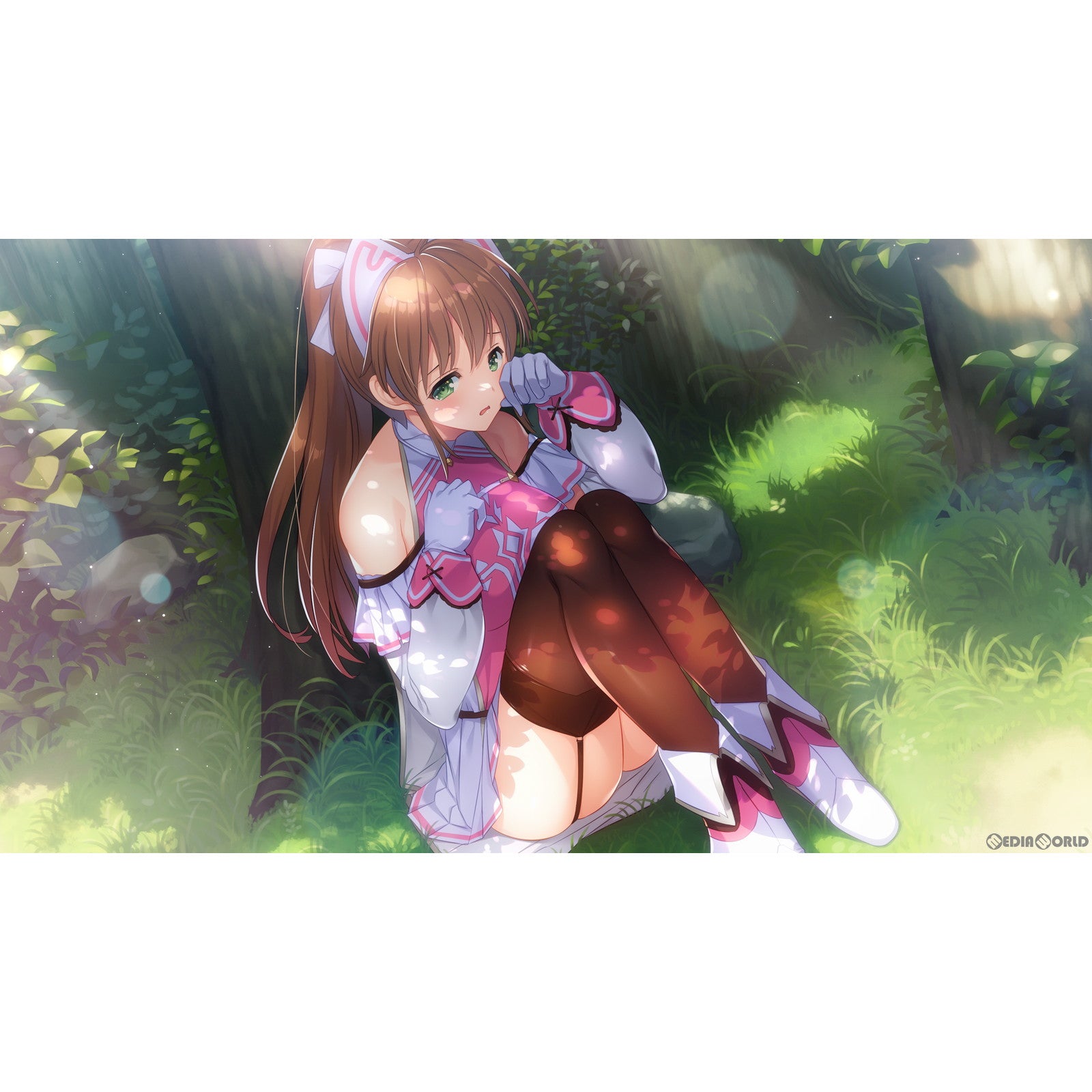 【新品即納】[Switch]ガールズフランティッククラン(ガルフラ Girls Frantic Clan) 完全生産限定版 エンターグラム (20230928)