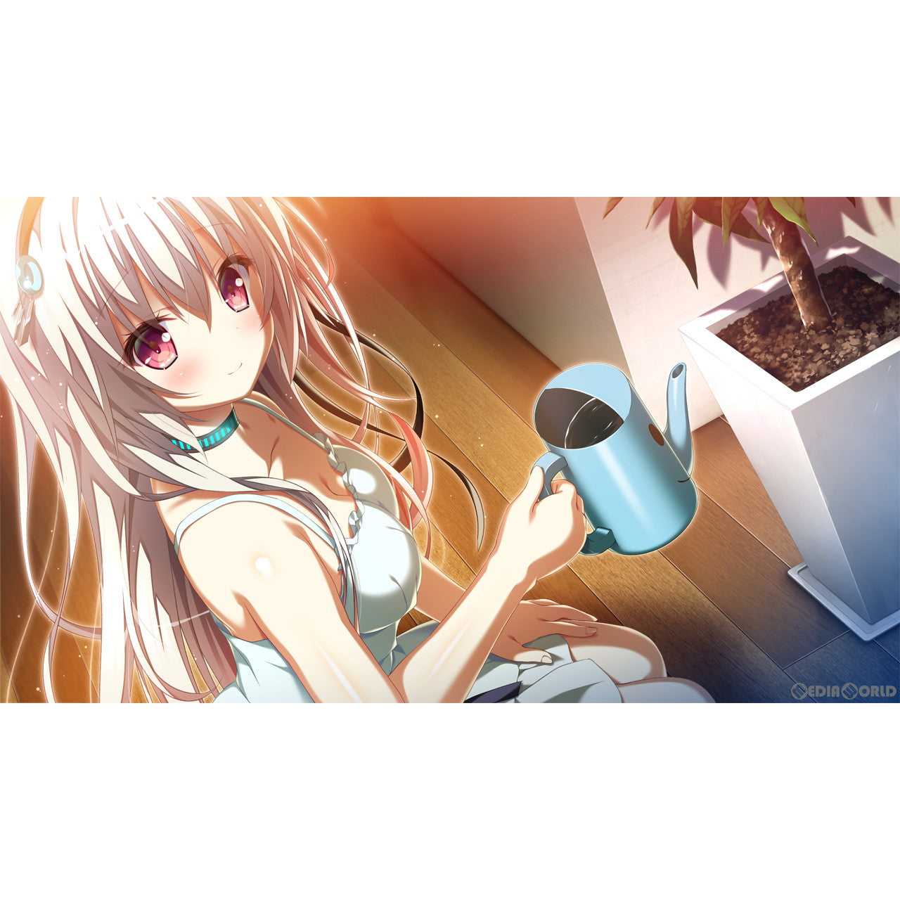 【新品即納】[Switch]トリノライン(TRIノLINE) 通常版 エンターグラム (20230928)