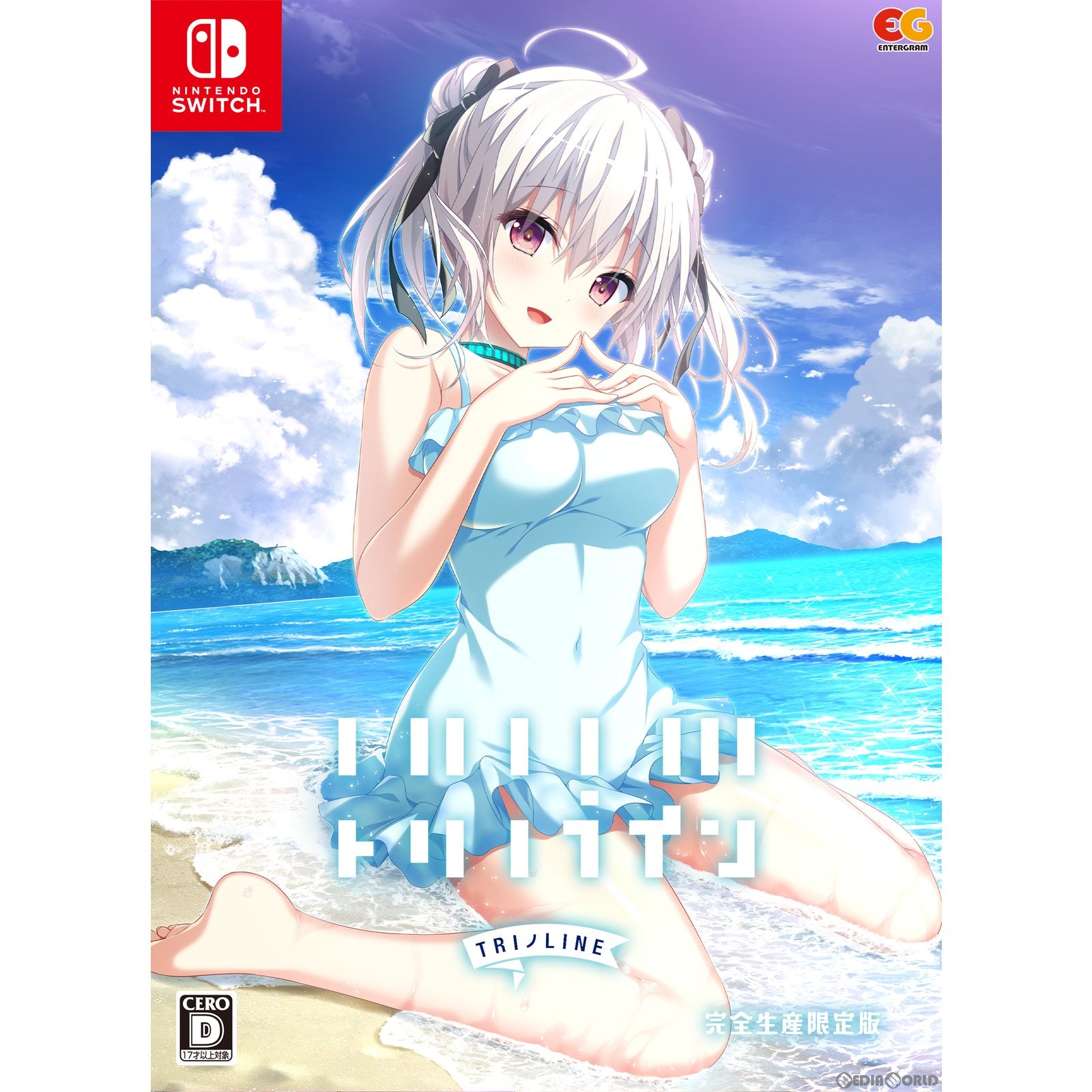 【新品即納】[Switch]トリノライン(TRIノLINE) 完全生産限定版 エンターグラム (20230928)