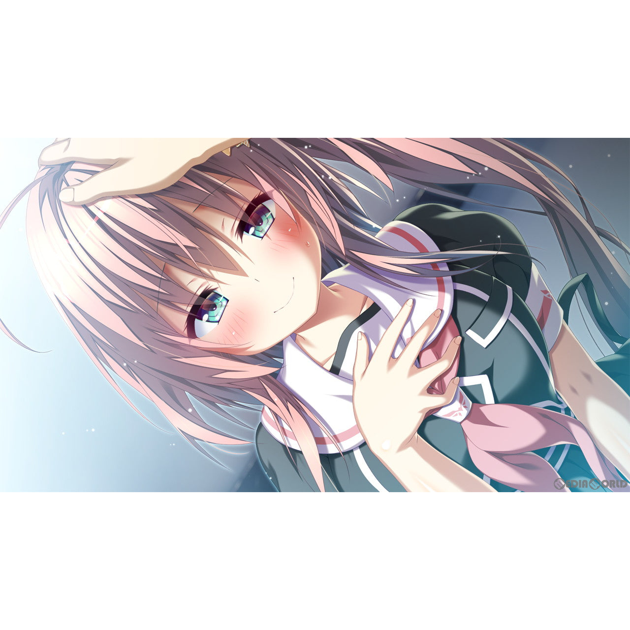 【新品即納】[Switch]トリノライン(TRIノLINE) 完全生産限定版 エンターグラム (20230928)