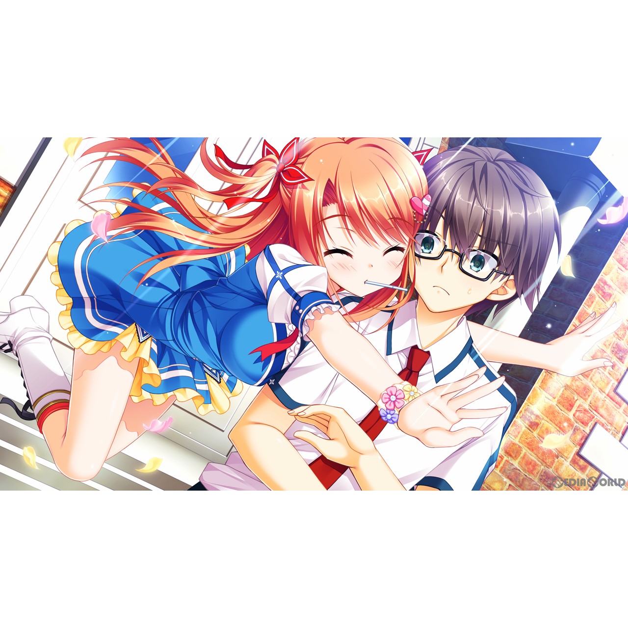 【新品即納】[Switch]フローラル・フローラブ(floral・flowlove) 通常版 エンターグラム (20230928)