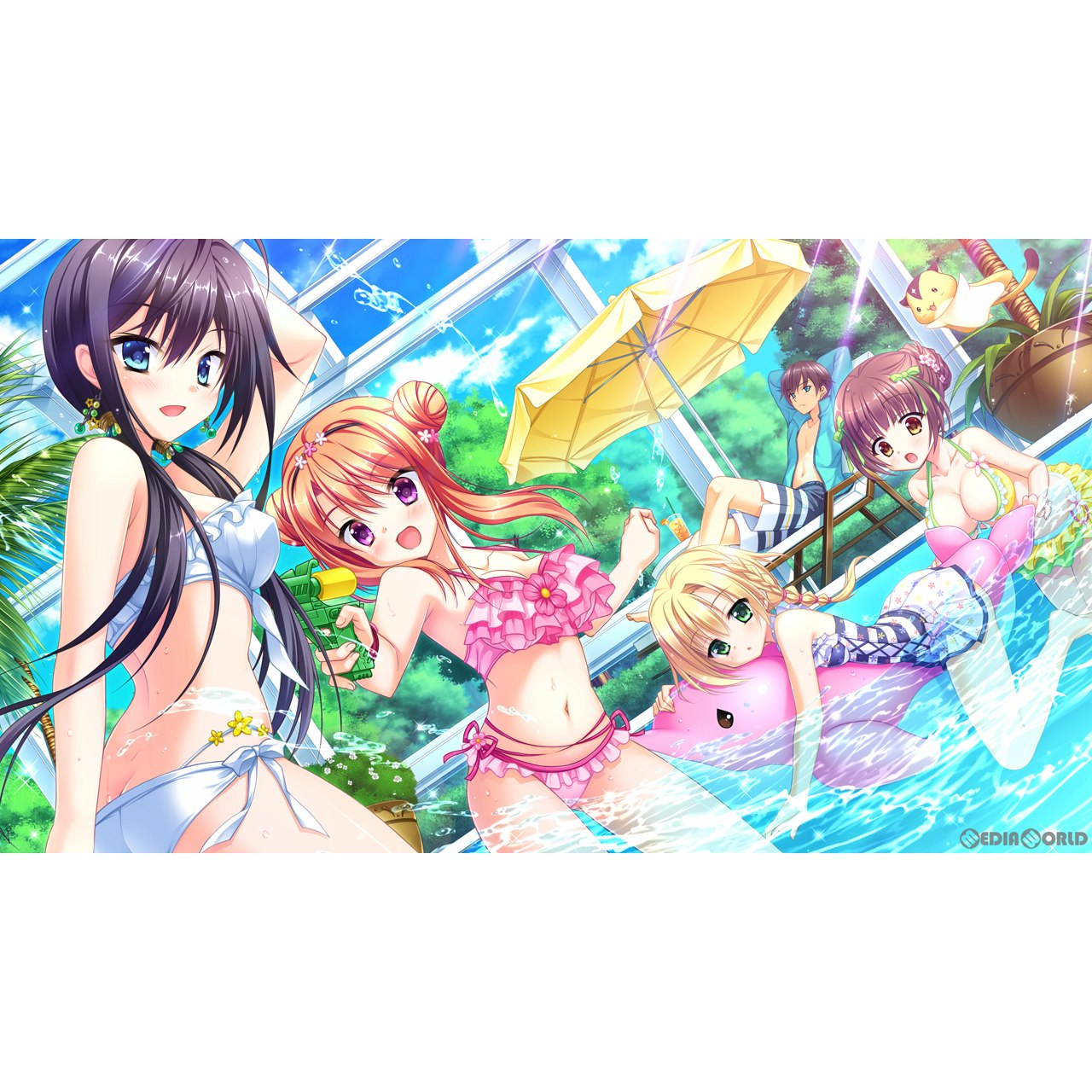 【新品即納】[Switch]フローラル・フローラブ(floral・flowlove) 完全生産限定版 エンターグラム (20230928)