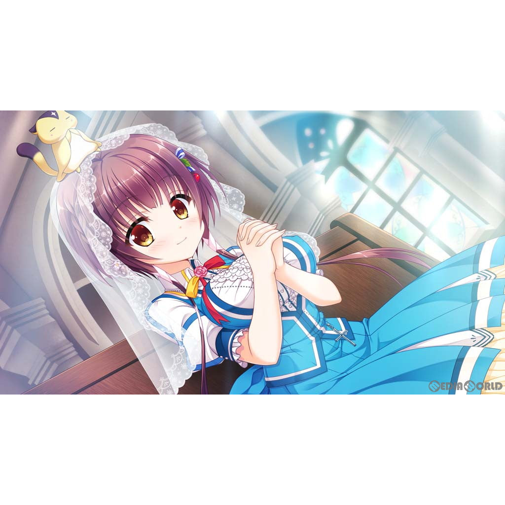【新品即納】[Switch]フローラル・フローラブ(floral・flowlove) 完全生産限定版 エンターグラム (20230928)
