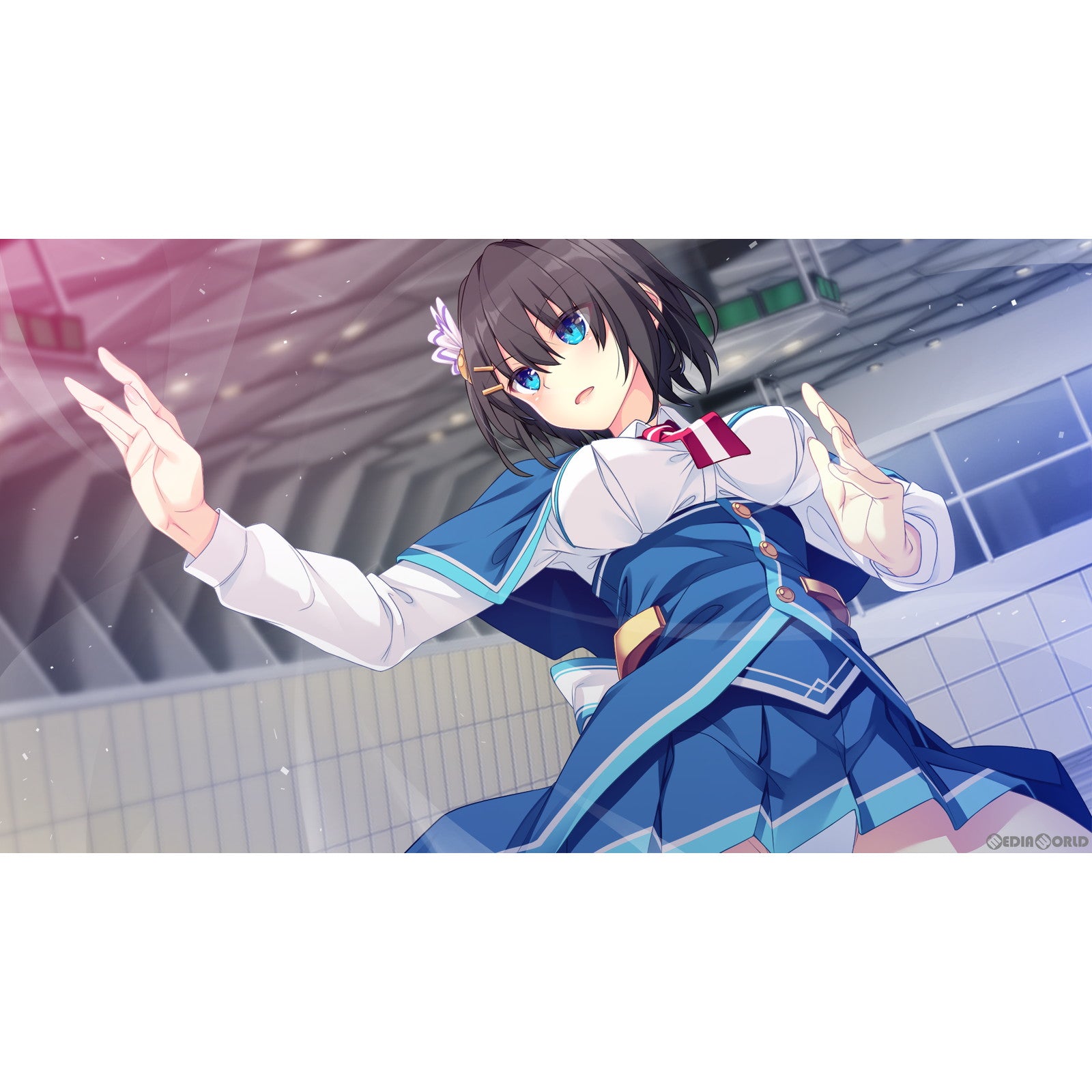 【新品即納】[Switch]白刃きらめく恋しらべ 通常版 エンターグラム (20231026)