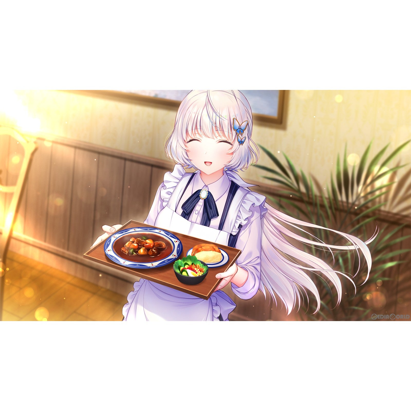 【新品即納】[Switch]2045、月より。 The Butterfly Dream 通常版 エンターグラム (20231221)