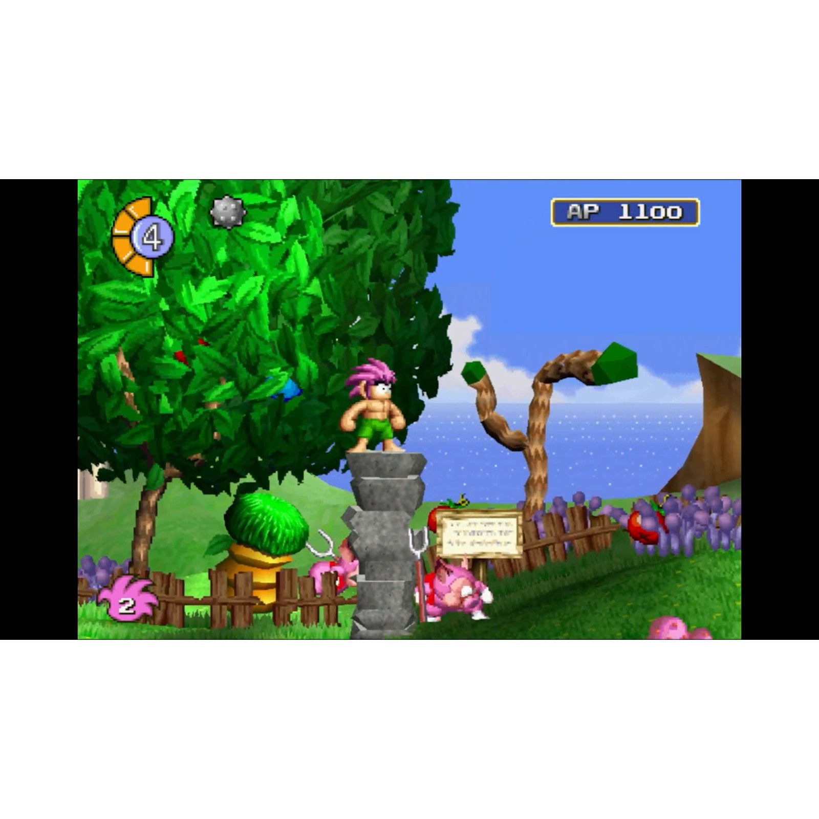 【中古即納】[Switch] オレっ!トンバ Special Edition(スペシャルエディション) 通常版 SUPERDELUXE GAMES(20250904)