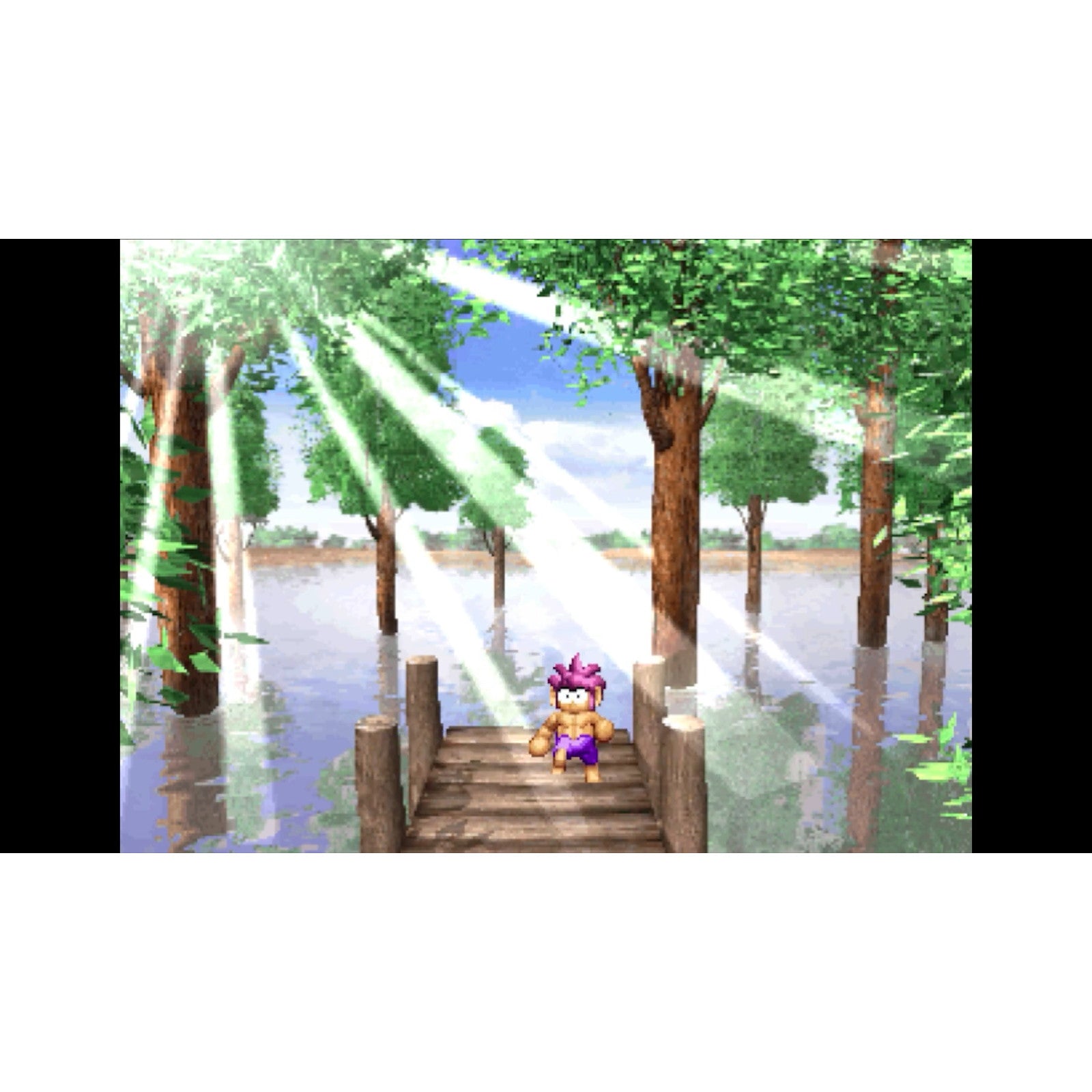 【中古即納】[Switch] オレっ!トンバ Special Edition(スペシャルエディション) 通常版 SUPERDELUXE GAMES(20250904)