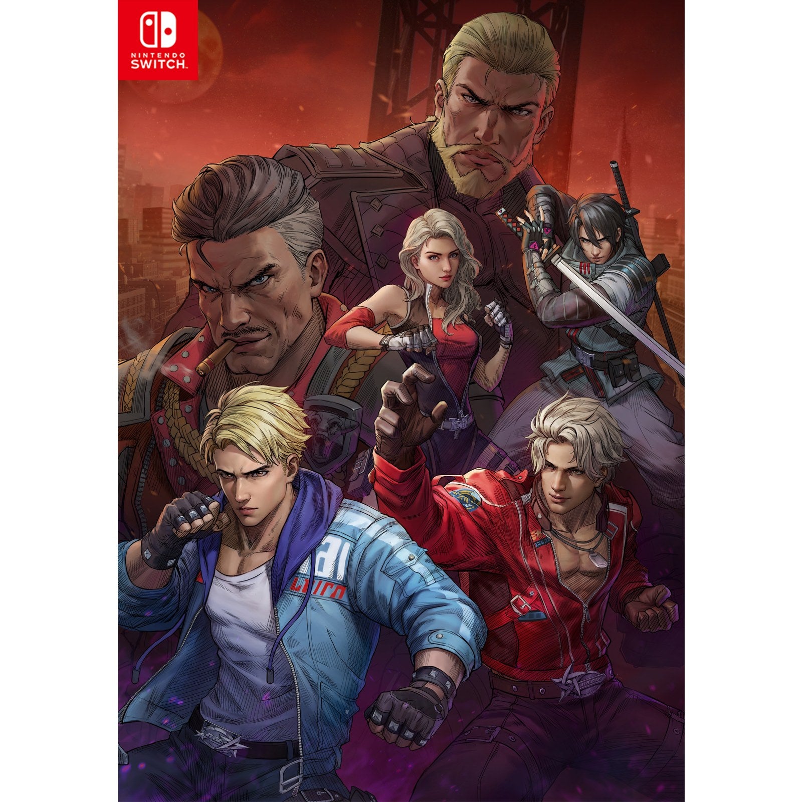 【中古即納】[Switch] ダブルドラゴン リヴァイヴ 通常版 アークシステムワークス(20251023)