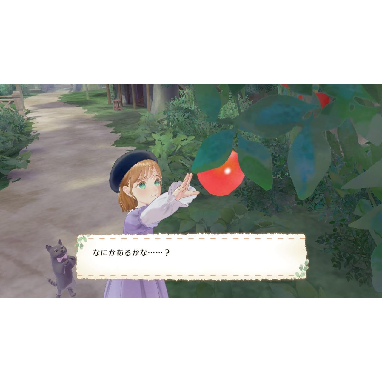 【予約前日出荷】[Switch] 早期購入特典付(ときめき着せ替え帖) マジカルクラフト 猫と魔法のドレス イマジニア(20251106)