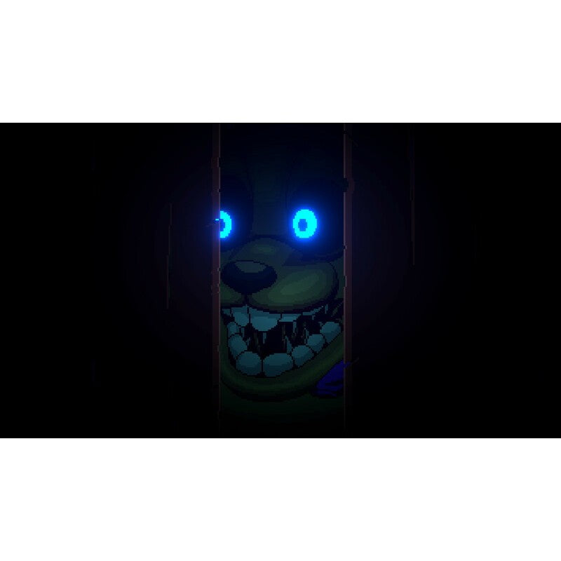 【中古即納】[Switch] Five Nights at Freddy's: Into The Pit(ファイブナイツ アット フレディーズ イントゥ ザ ピット) Mega Cat Studios(20260122)
