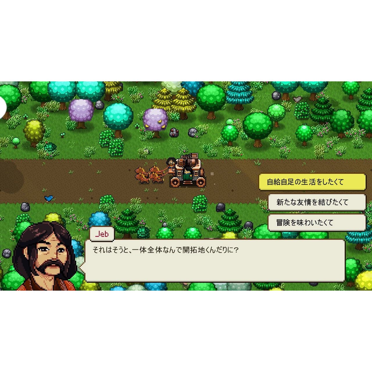 【予約前日出荷】[Switch] Cattle Country(キャトル カントリー) SOFT SOURCE(20260212)