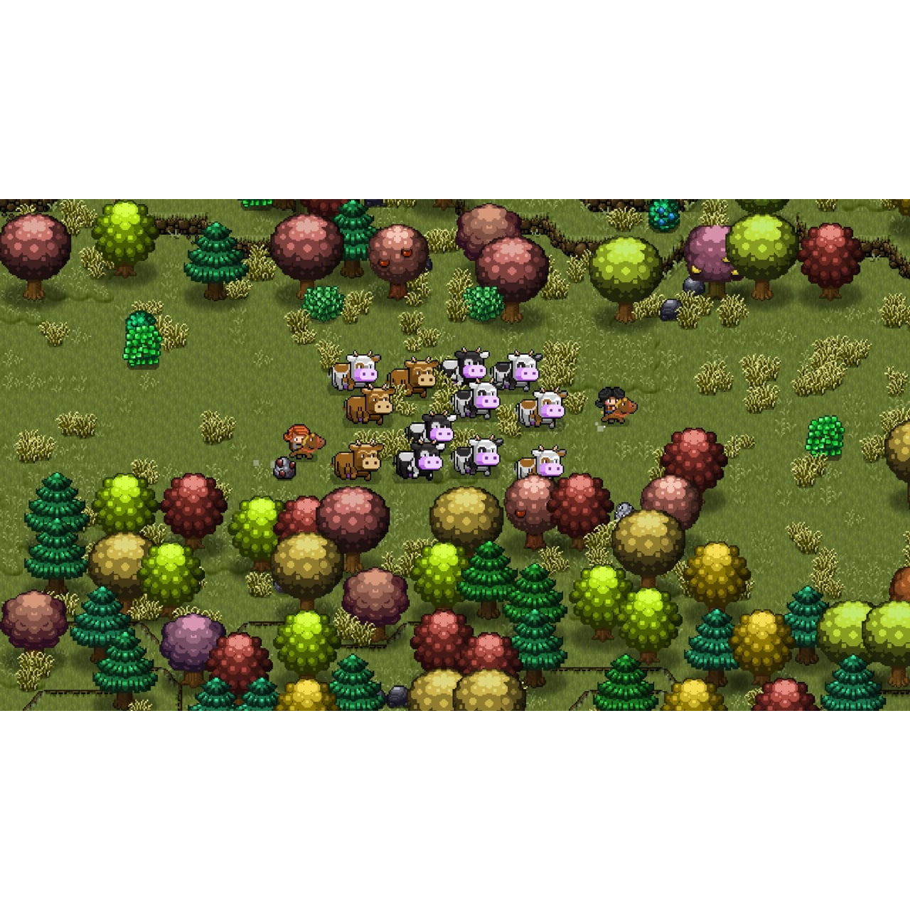 【予約前日出荷】[Switch] Cattle Country(キャトル カントリー) SOFT SOURCE(20260212)