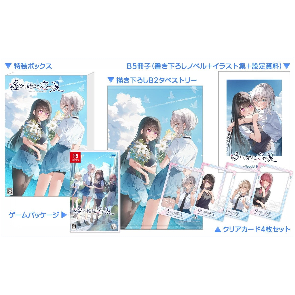 【新品即納】[Switch] 嘘から始まる恋の夏 初回限定版 プロトタイプ(20260618)