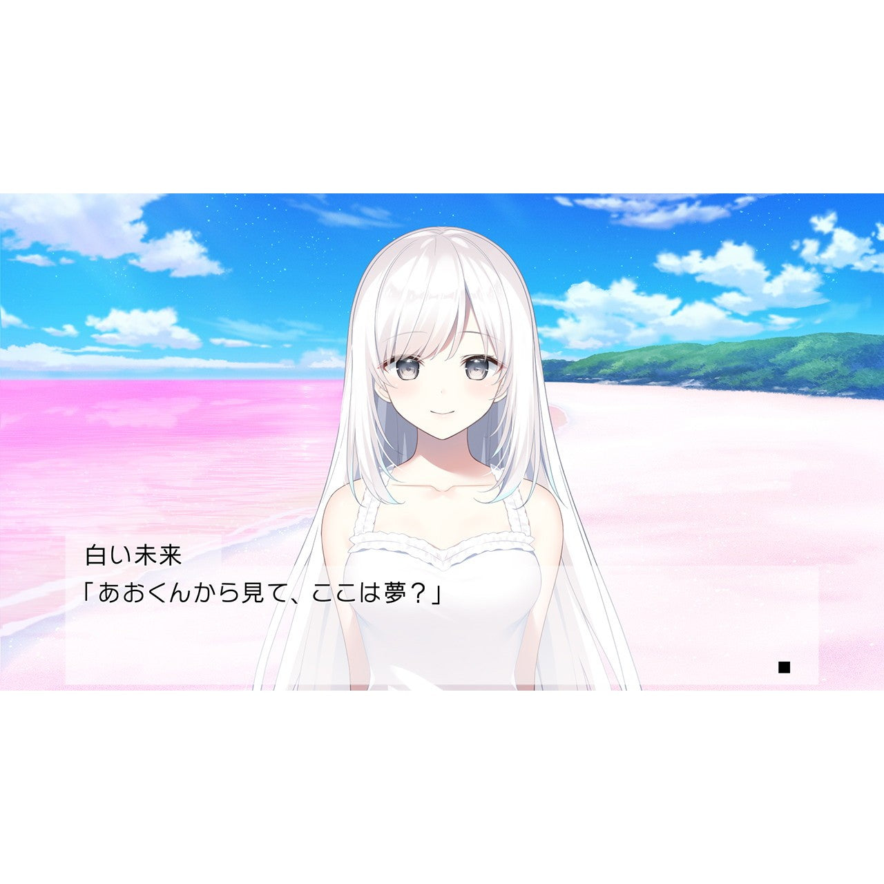 【予約前日出荷】[Switch] Dreamin' Her(ドリーミンハー) - 僕は、彼女の夢を見る。- 初回限定版 プロトタイプ(20260716)