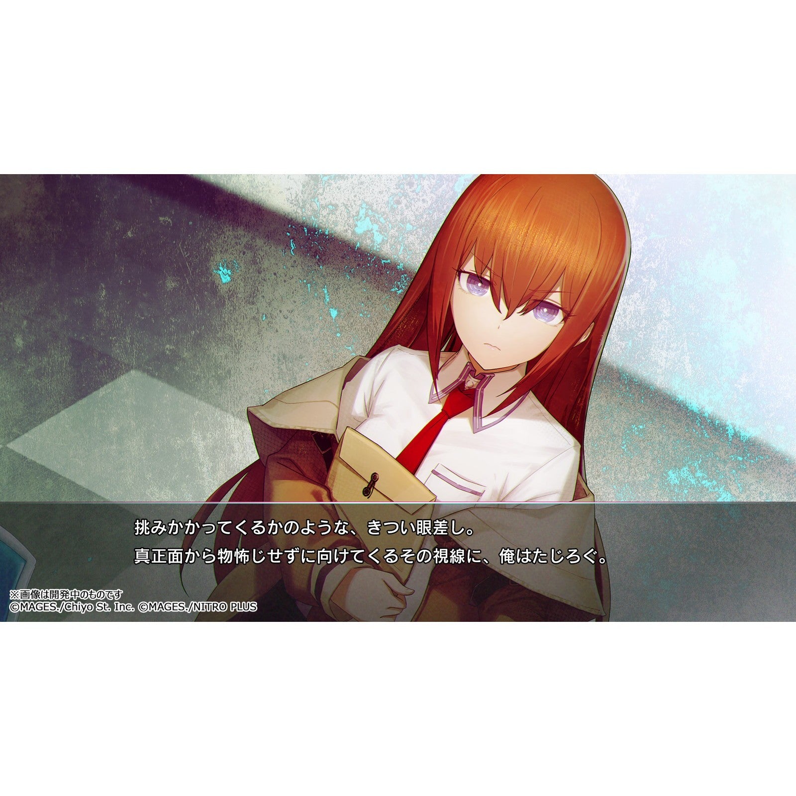 【予約前日出荷】[Switch] STEINS;GATE RE:BOOT(シュタインズゲート リブート) 通常版 MAGES.(20260820)