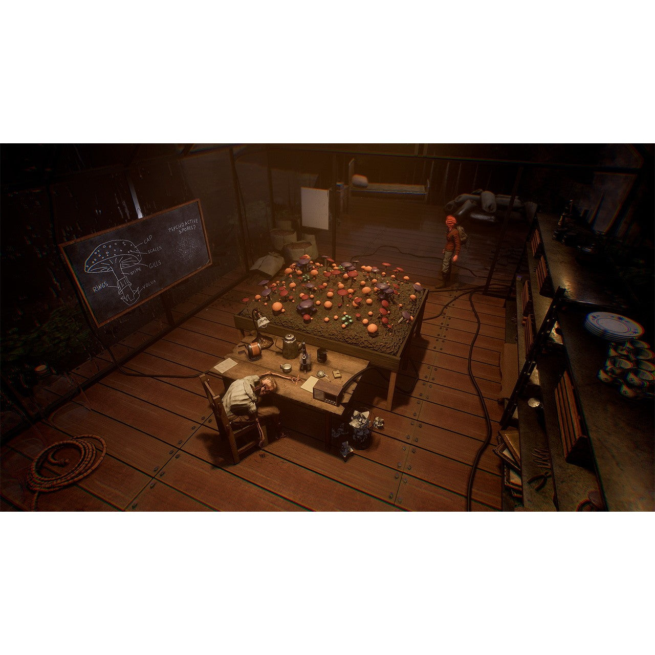 【予約前日出荷】[Switch] HAZEL SKY(ヘーゼル・スカイ) SOFT SOURCE(20261029)