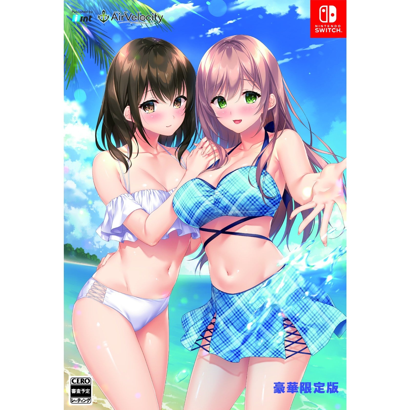 【予約前日出荷】[Switch] ハッピーウィークエンド 豪華限定版 AirVelocity(エアベロシティ)(20261126)