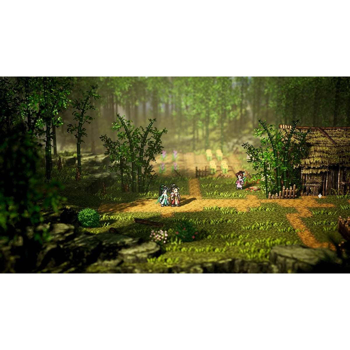 【予約前日出荷】[Switch] 初回特典付(コスチュームDLC) Wandering Sword(ワンダリングソード) ～逸剣風雲決～ クラウディッドレパードエンタテインメント(20270121)