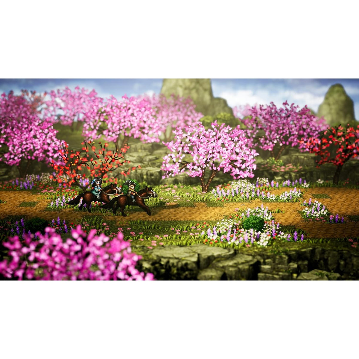 【予約前日出荷】[Switch] 初回特典付(コスチュームDLC) Wandering Sword(ワンダリングソード) ～逸剣風雲決～ クラウディッドレパードエンタテインメント(20270121)
