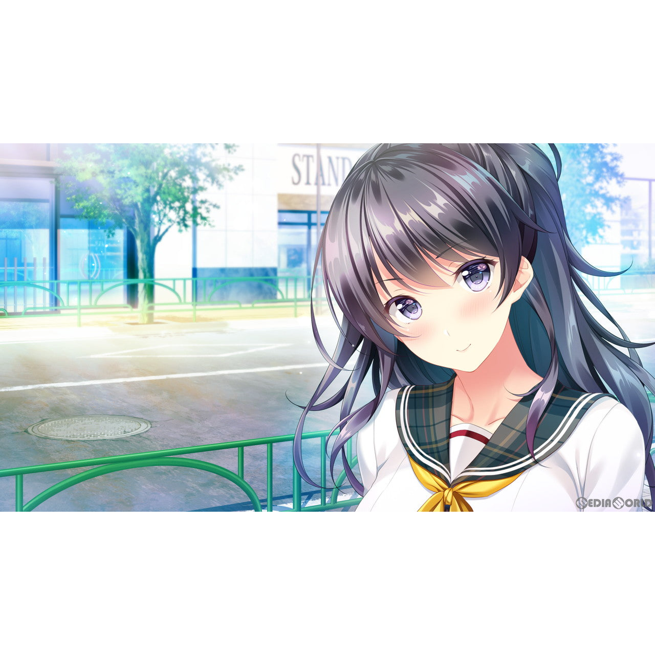 【中古即納】[お得品][表紙説明書なし][Switch] どっちのiが好きですか～ 通常版 エンターグラム(20240125)