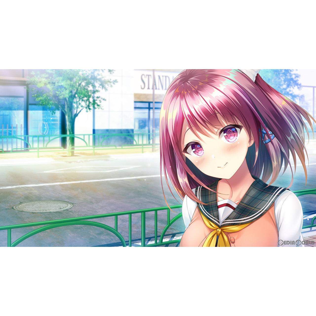 【中古即納】[お得品][表紙説明書なし][Switch] どっちのiが好きですか～ 通常版 エンターグラム(20240125)