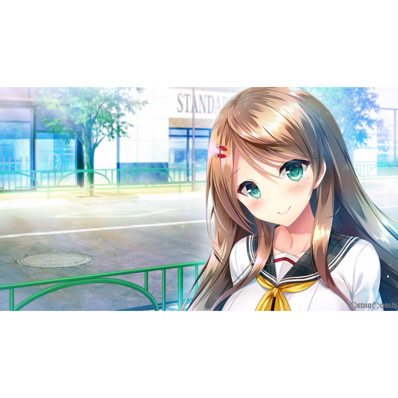 【新品即納】[Switch]どっちのiが好きですか?+思い出抱えてアイにコイ!!セット(限定版) エンターグラム (20240125)