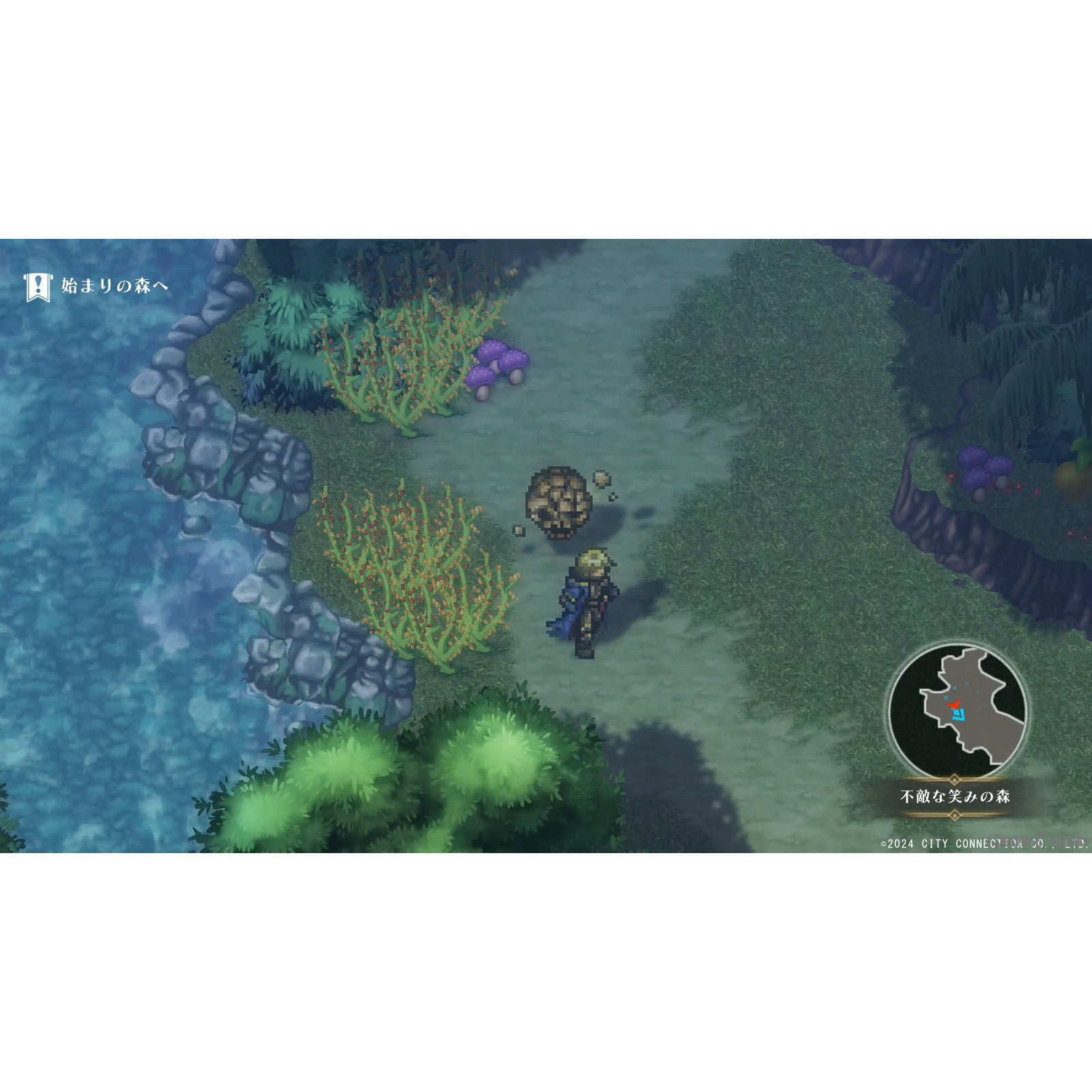 【中古即納】[Switch]ワイズマンズワールド リトライ(WiZmans World Re: Try) 通常版 シティコネクション (20240530)