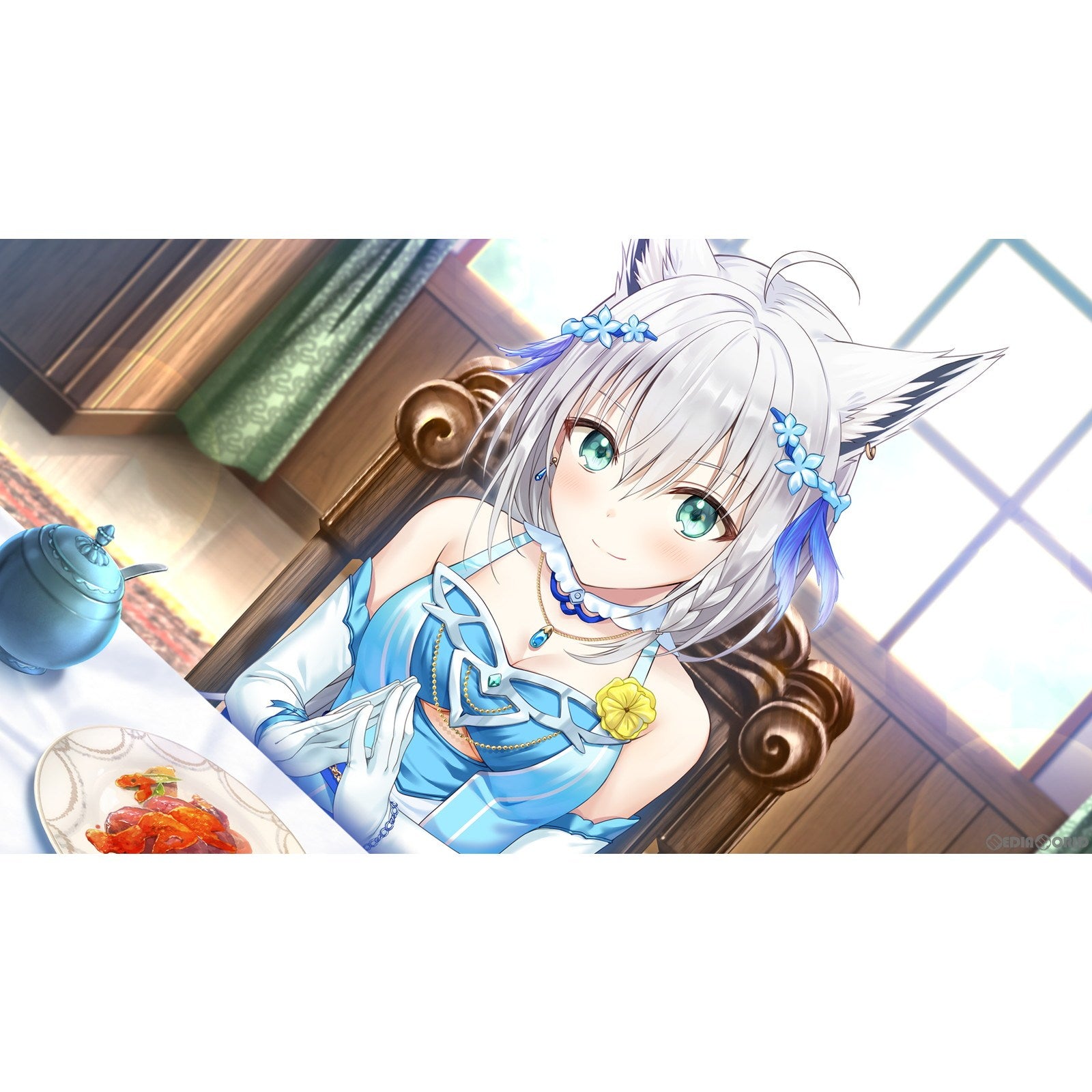 【新品即納】[Switch]あくありうむ。 AQUARIUM Minato Aqua From Hololive エンターグラム (20240328)