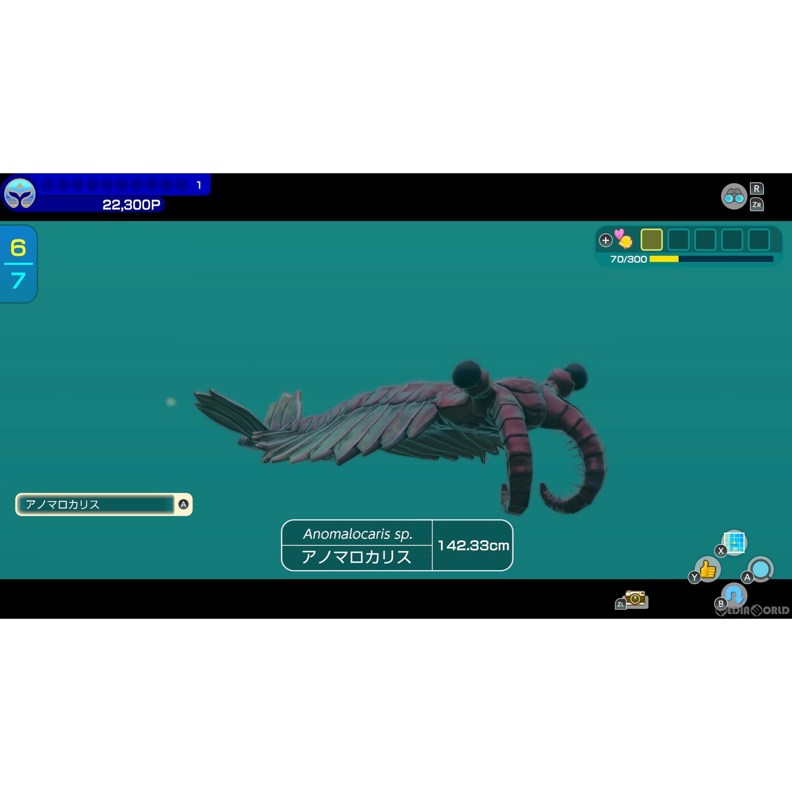 【中古即納】[Switch]フォーエバーブルー ルミナス(FOREVER BLUE LUMINOUS) 任天堂 (20240502)