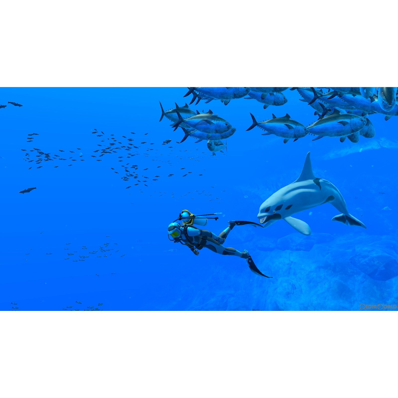 【中古即納】[Switch]フォーエバーブルー ルミナス(FOREVER BLUE LUMINOUS) 任天堂 (20240502)
