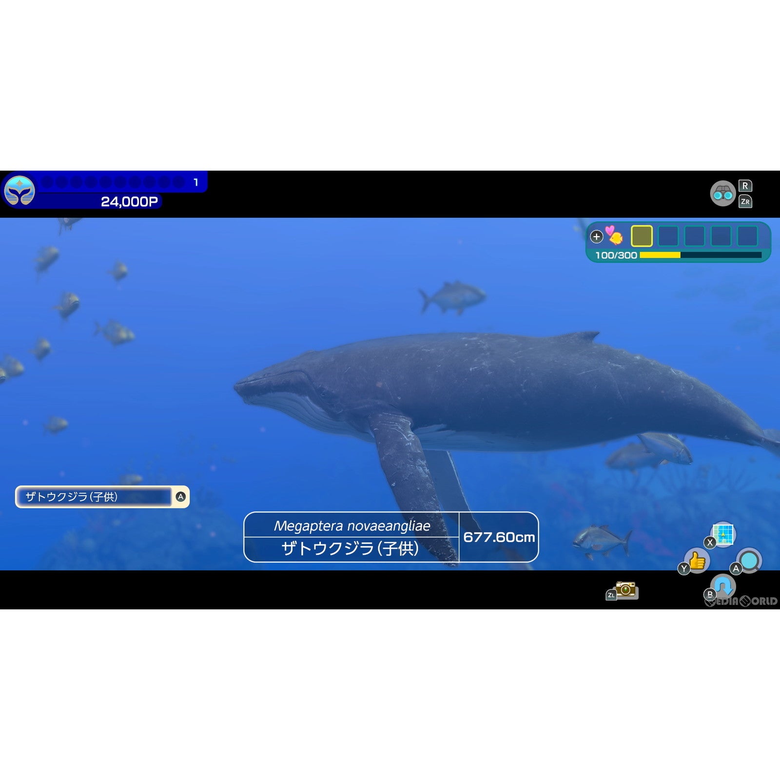 【新品即納】[Switch]フォーエバーブルー ルミナス(FOREVER BLUE LUMINOUS) 任天堂 (20240502)