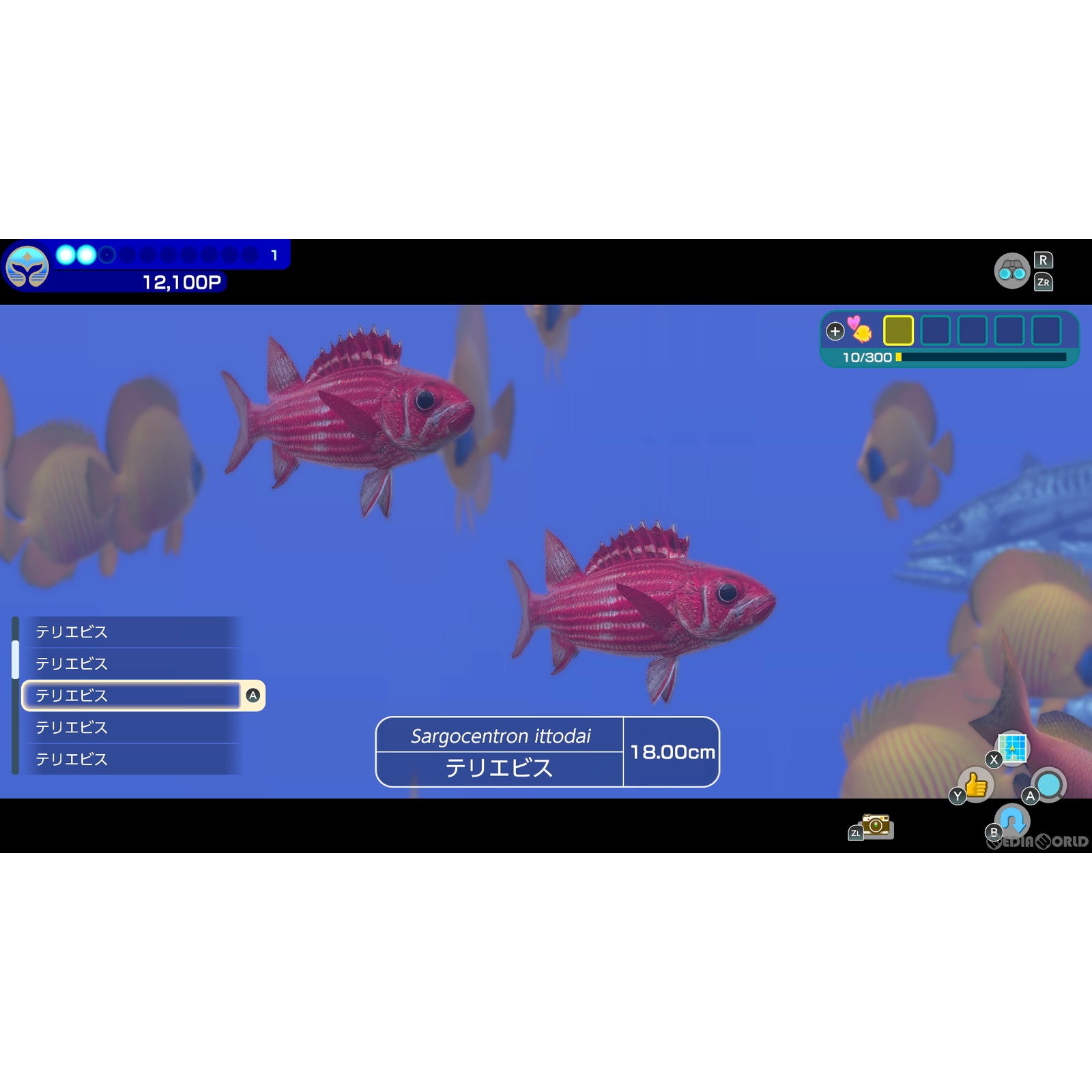 【中古即納】[Switch]フォーエバーブルー ルミナス(FOREVER BLUE LUMINOUS) 任天堂 (20240502)