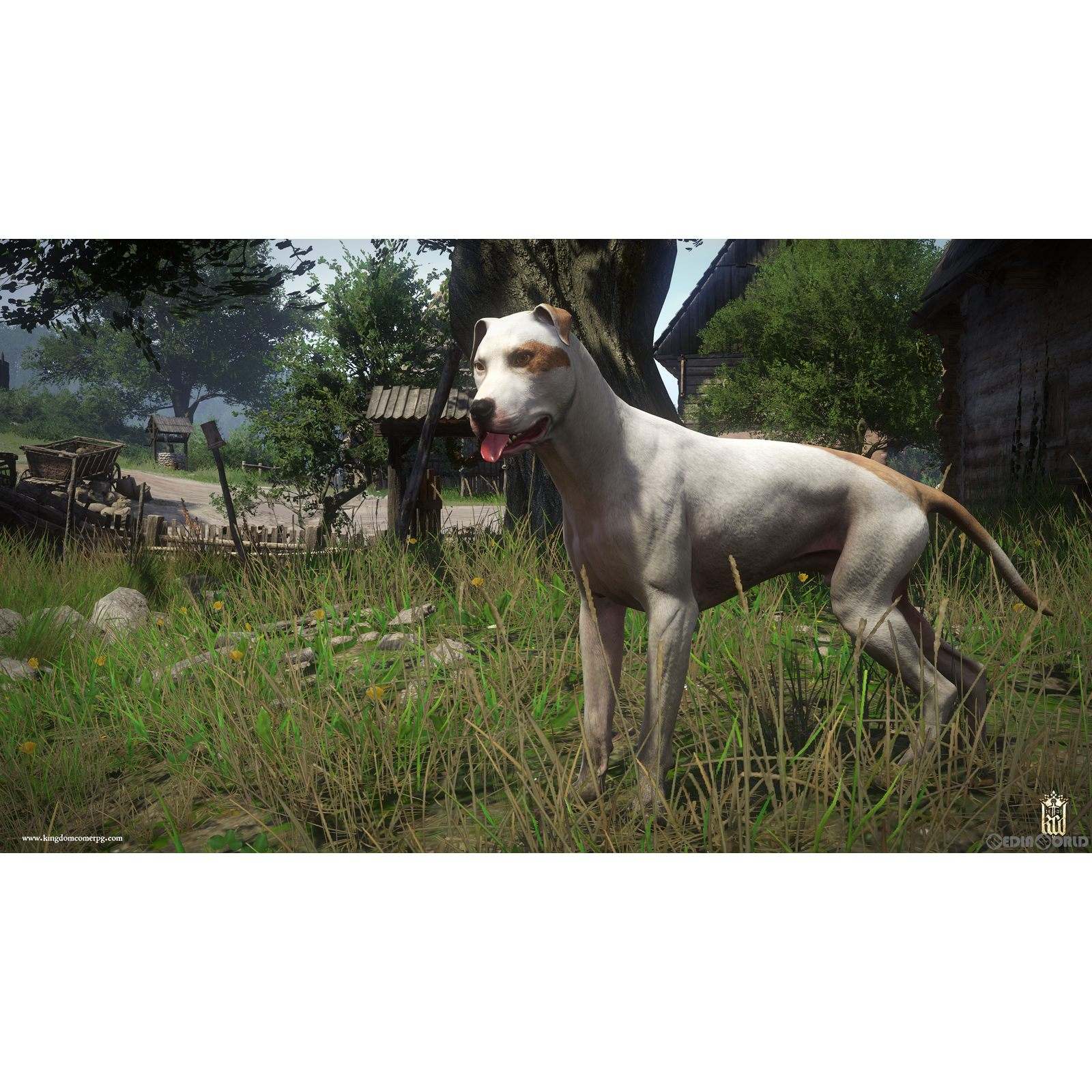 【新品即納】[Switch]キングダムカム・デリバランス ロイヤルエディション(Kingdom Come: Deliverance ROYAL EDITION) PLAION (20240523)