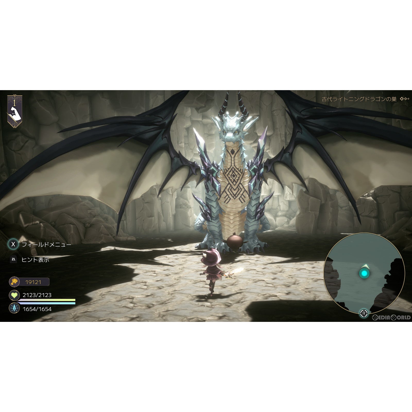 【中古即納】[Switch] 魔女の泉R コレクターズエディション(限定版) SHINSEGAE I&C(20240829)