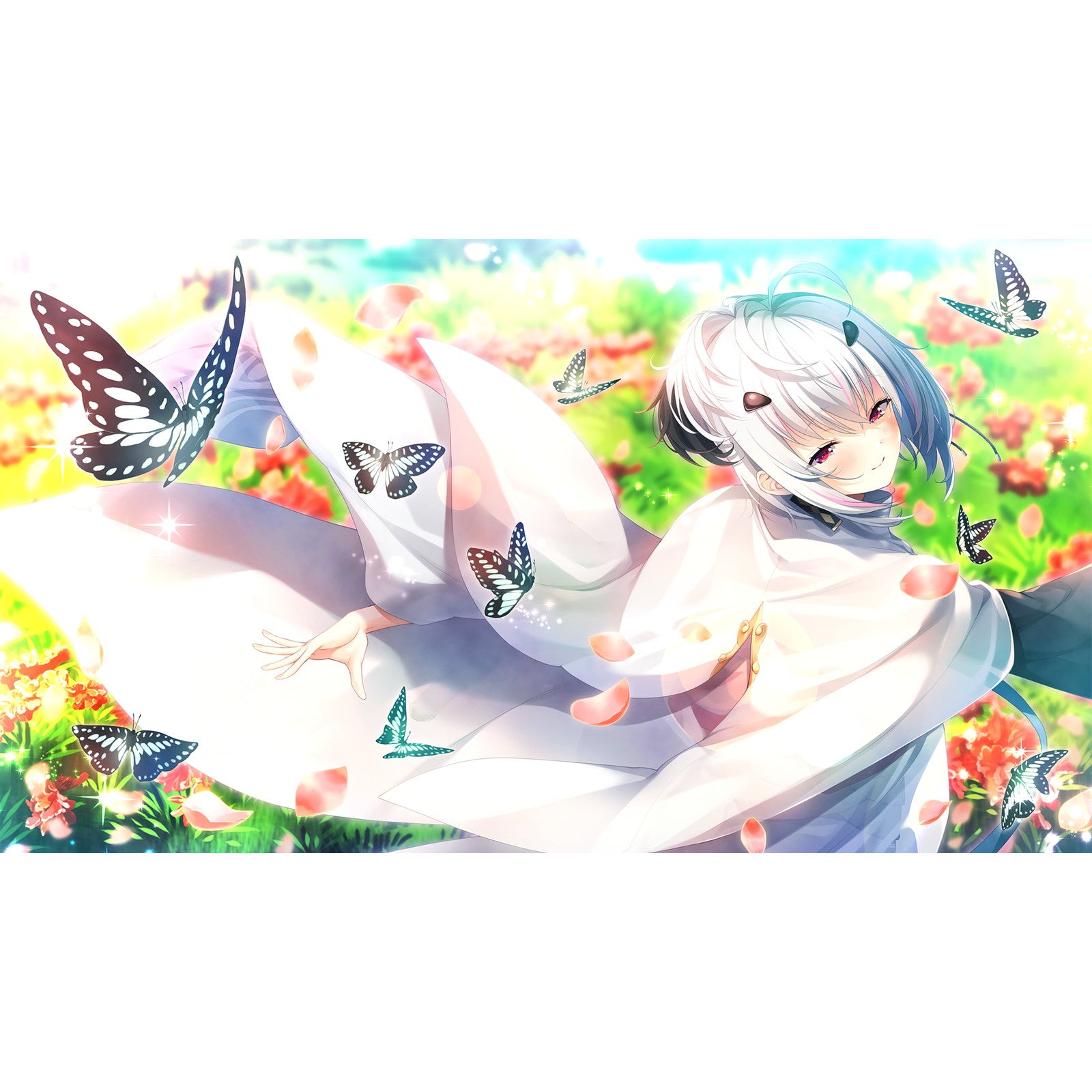 【新品即納】[Switch]戦国†恋姫EX ～COLLECTION～ 通常版 エンターグラム (20241128)