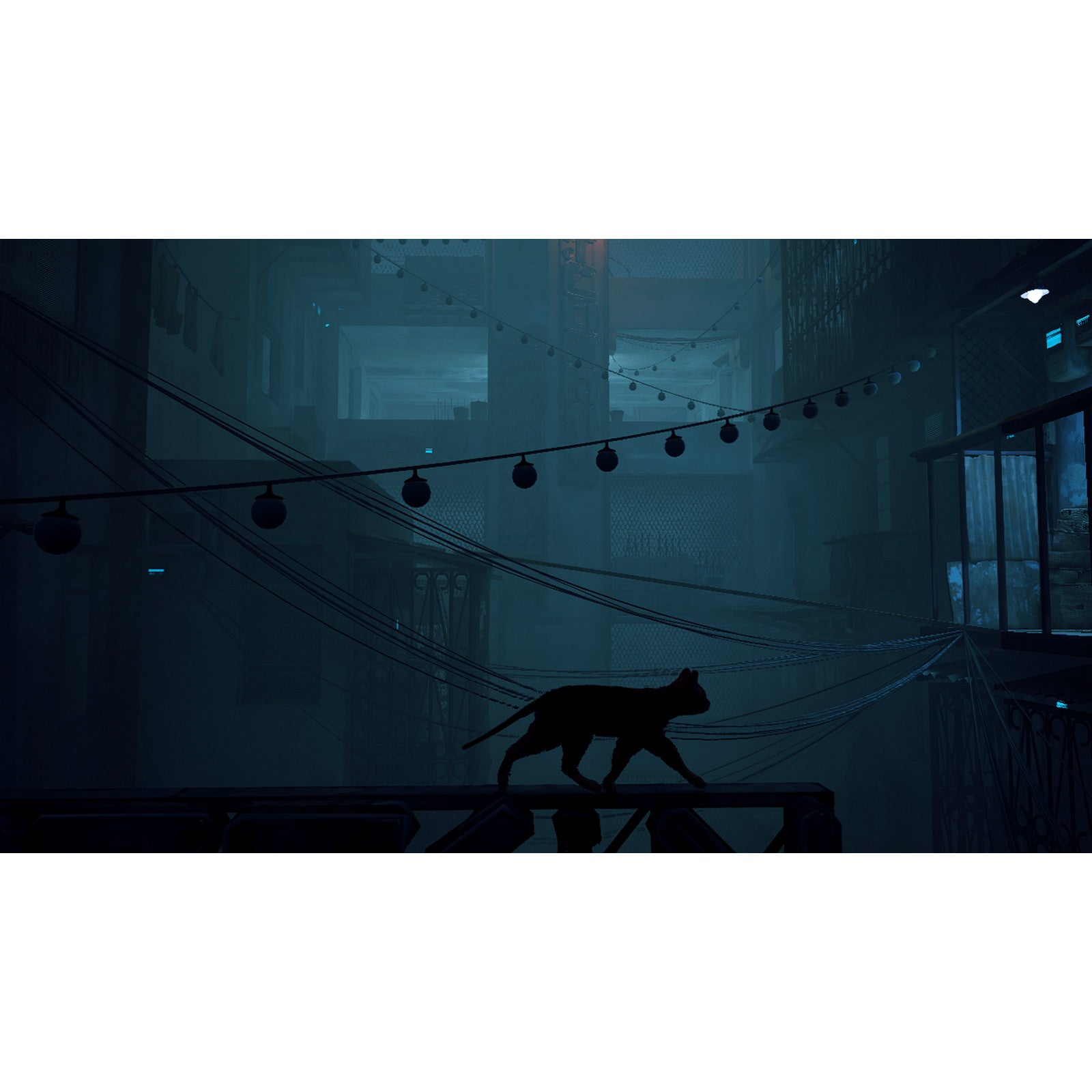 【新品即納】[Switch]初回特典付属 Stray(ストレイ) 通常版 ハピネット (20241119)