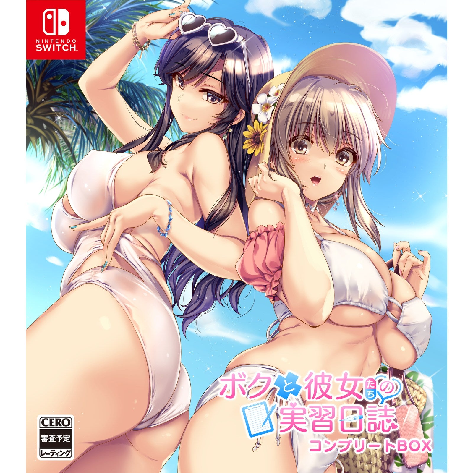 【予約前日出荷】[Switch] ボクと彼女たちの実習日誌 ボクカノコンプリートBOX(限定版)(20250227)